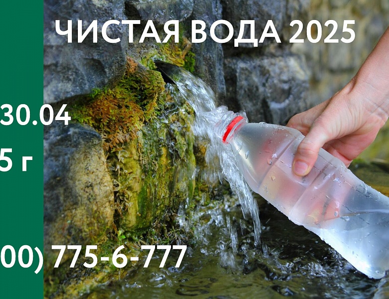 60% каждого из нас